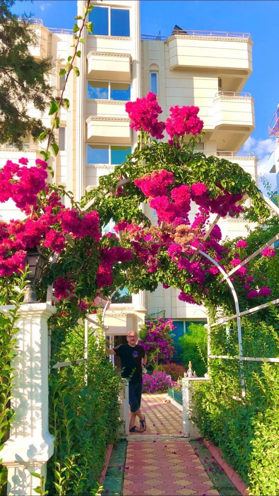 Rumana Hotel Αναμούρ Εξωτερικό φωτογραφία